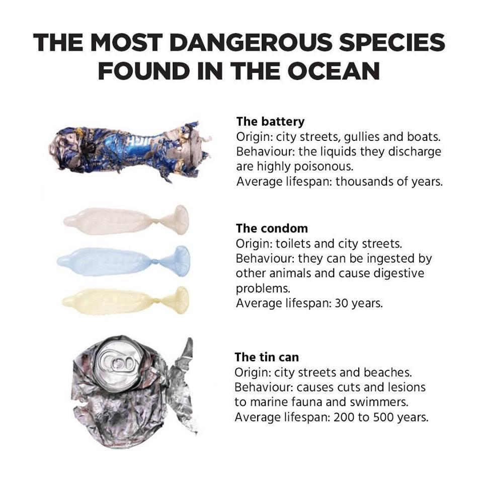 pia_mimaropa's tweet photo. Before you buy or take home any of these plastics, take note of how long it will take for them to decompose. | @cleanseasph
#NoToPlasticPollution https://t.co/0lSCaItDYM