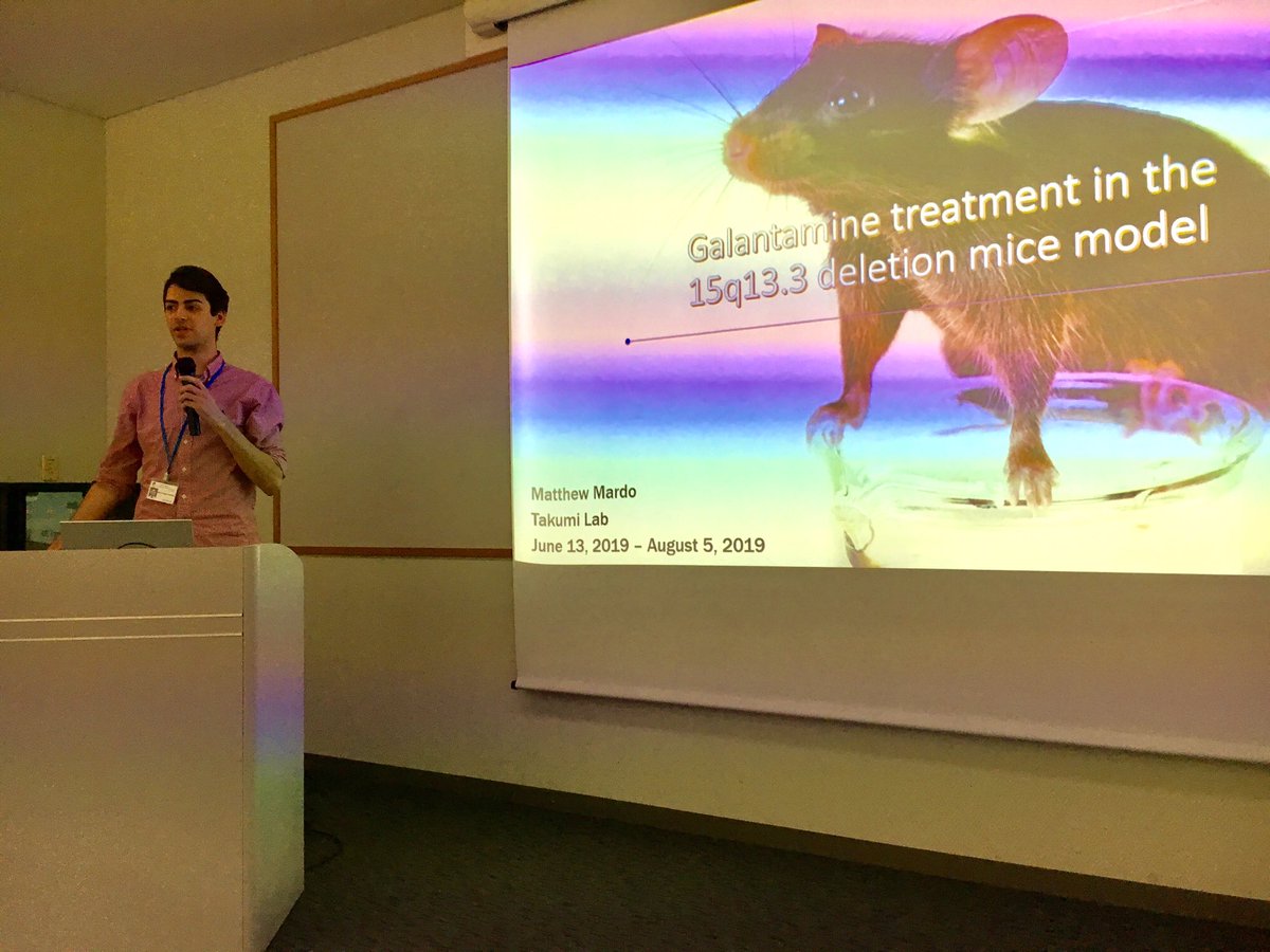 RIKEN_CBS's tweet photo. 1/3 Summer intern’s final presentations were fantastic. Topics ranged from various areas of neuroscience, and included pharmacological approaches to neurological disorders, optogenetic control of memory, virtual reality swimming environments for zebrafish... #neurotechCBS https://t.co/yUwi3RrzqV
