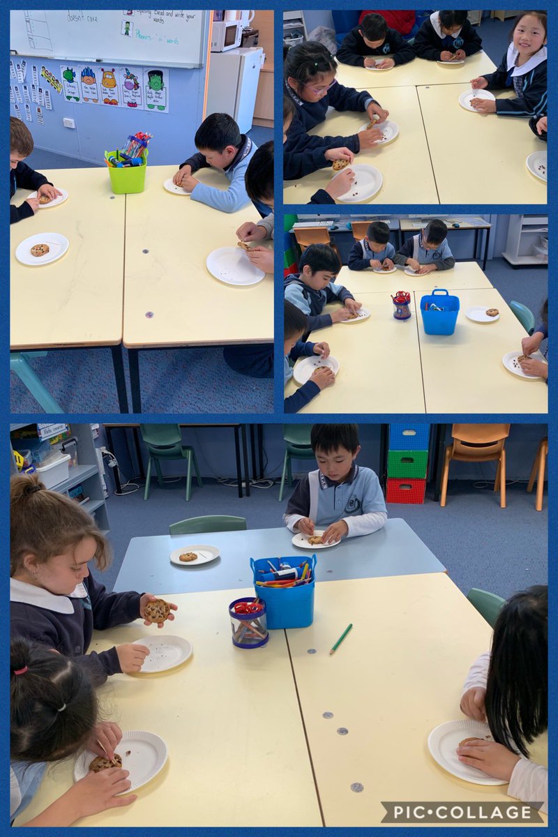 Today 1R became paleontologists on the hunt for fossilised dinosaur droppings(aka chocolate chips)<a href="/CanleyValePS/">Canley Vale PS</a> <a href="/mtb1611/">Steven Snell</a> <a href="/JJohnstone24/">James Johnstone</a> <a href="/carlenebarret10/">carlene barrett</a> <a href="/grtowers/">Gavin Towers</a> <a href="/KerryPlimmer/">Kerry Plimmer</a> <a href="/jo_falcone/">Joanne</a>