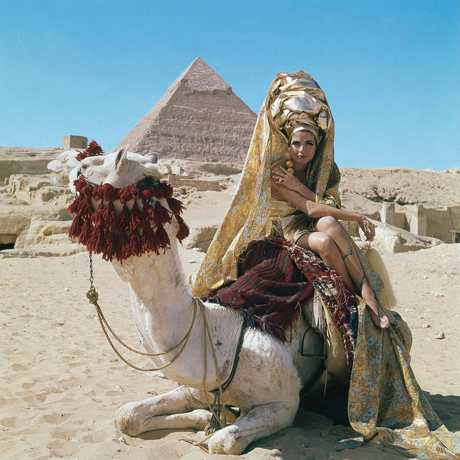 𝗠𝗮𝘁𝘁 𝗖 ² tweet media