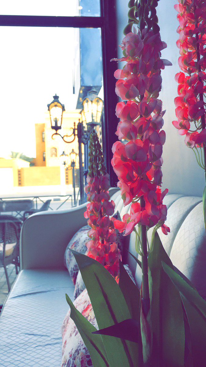 #مزاجي_اليوم_يقول
الوهم نصف الداء ..
والإطمئنان نصف الدواء ..
و الصبر بداية الشفاء ..

#صباح_الخير 🌺