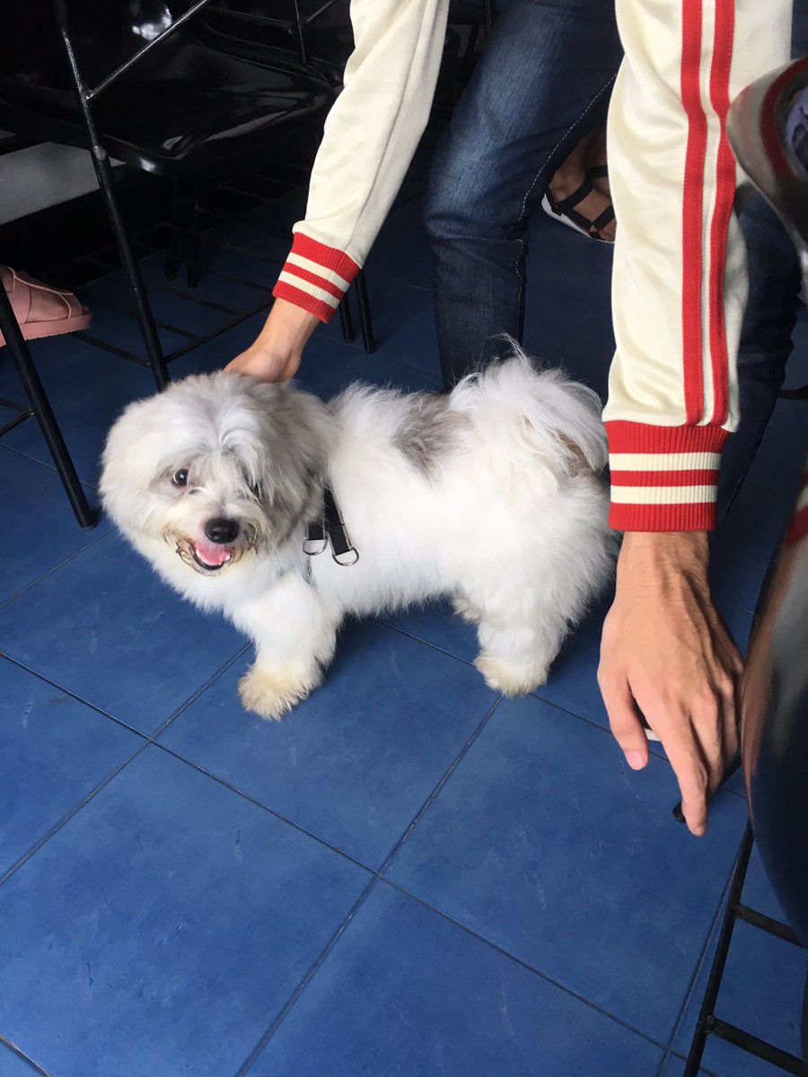 alsimrenzo's tweet photo. May dalang dog prof namin ❤️ https://t.co/1u6v79hrtV