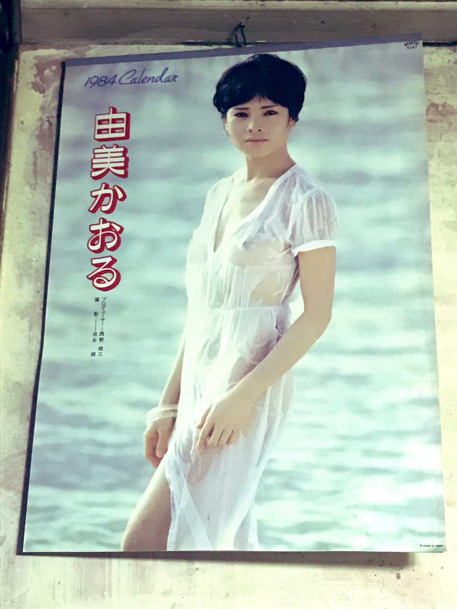 由美かおるさん映画3作品 【公式通販】