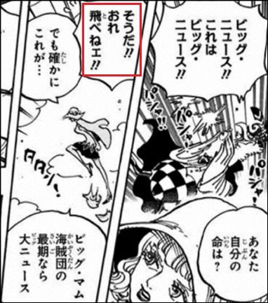 Log ワンピース考察 On Twitter モルガンズはトリトリの実 モデル アルバトロスの能力者だと判明 の記事 誤情報を載せちゃってましたので修正しまとめ直しました モルガンズが常に人獣型の理由 トリトリの実なのに飛べない理由 等々を考察しまとめてい