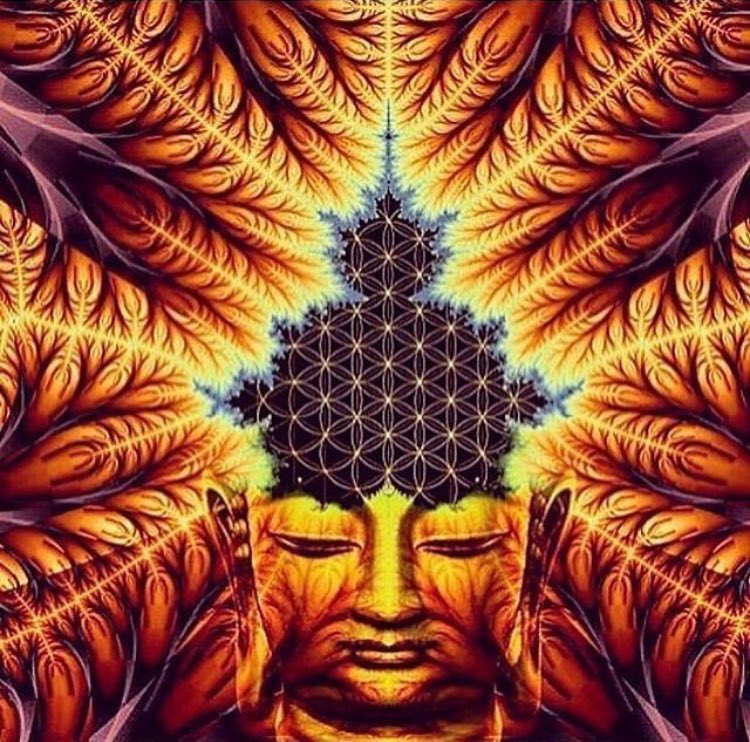 lovegoddess1414's tweet image. “Silence is an empty space, space is the home of the awakened mind.”