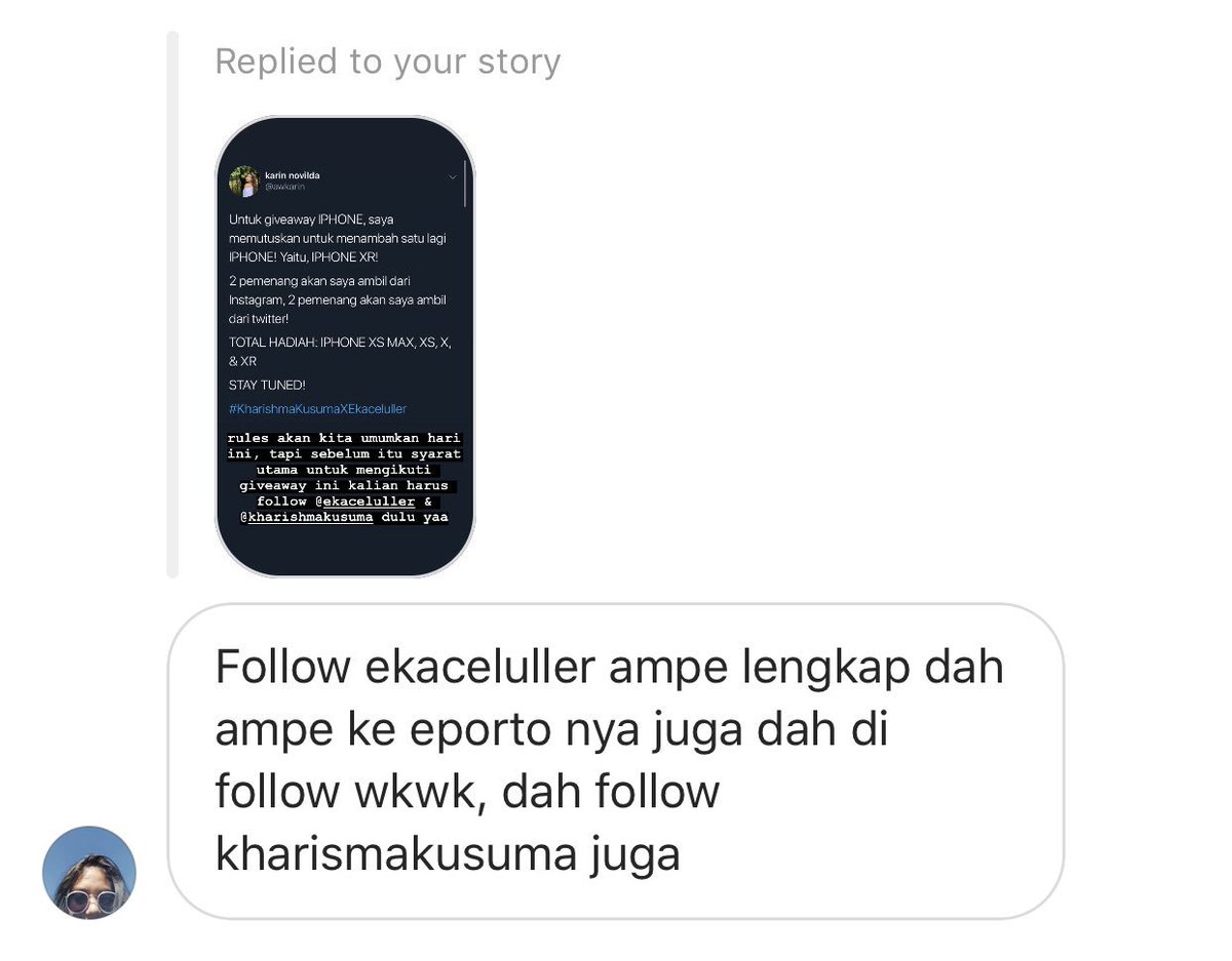 karin novilda tweet media