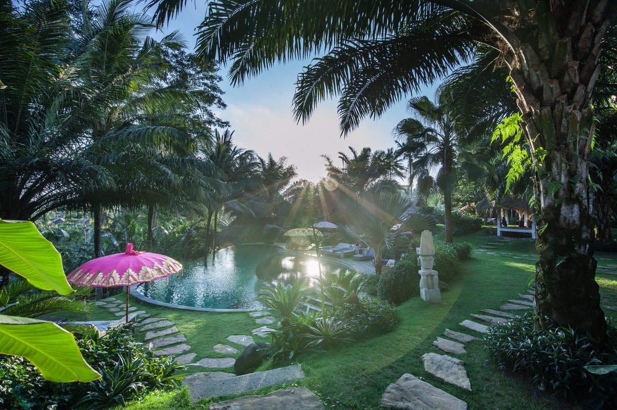 bluekarmasecret's tweet photo. If we open our eyes, if we open our minds, if we open our hearts, we will find this world is a magical place. ✨🙏 💙
.📸 Blue Karma Nestling Escape Ubud 
#balibeauty #balibeautiful #bali #baliisland #baliexplore #villa #baliholiday #colours #colourful #ubud #ubudbali #ubudhotel https://t.co/3hyRCGMiFb
