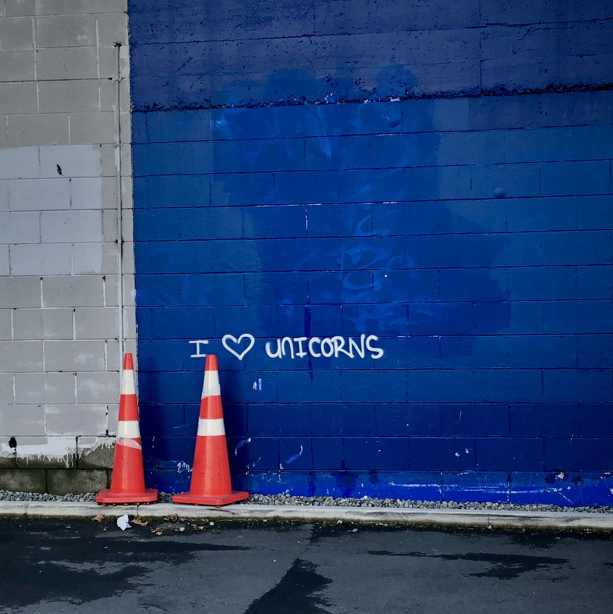 DrLesliesPath's tweet photo. You know you live in a reasonably safe and civilized place when this is the graffiti you see. 

#NewZealand #unicorns #goodplacetolive https://t.co/p8pE4ijUMk