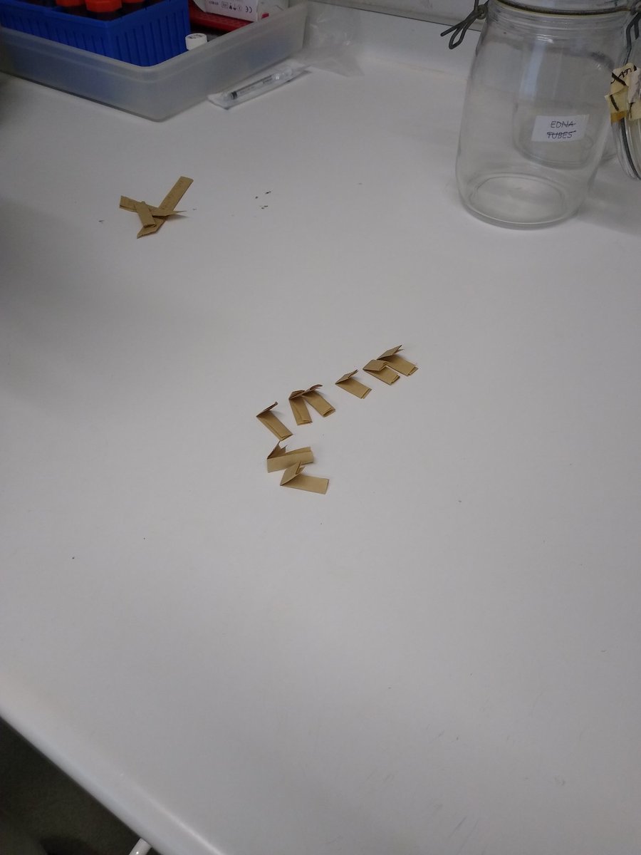 Gardeners in the lab, doing some sort of magic as far as I can tell! 🧙 #rbgehort <a href="/duncanyoung16/">Duncan Young</a>