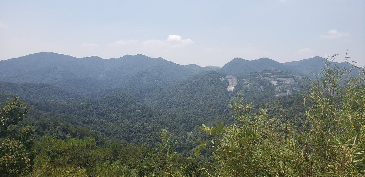 QWIQGO's tweet photo. #Hangzhou  #Shanghai 🇨🇳 https://t.co/Avkb4MjK6u
#Travel