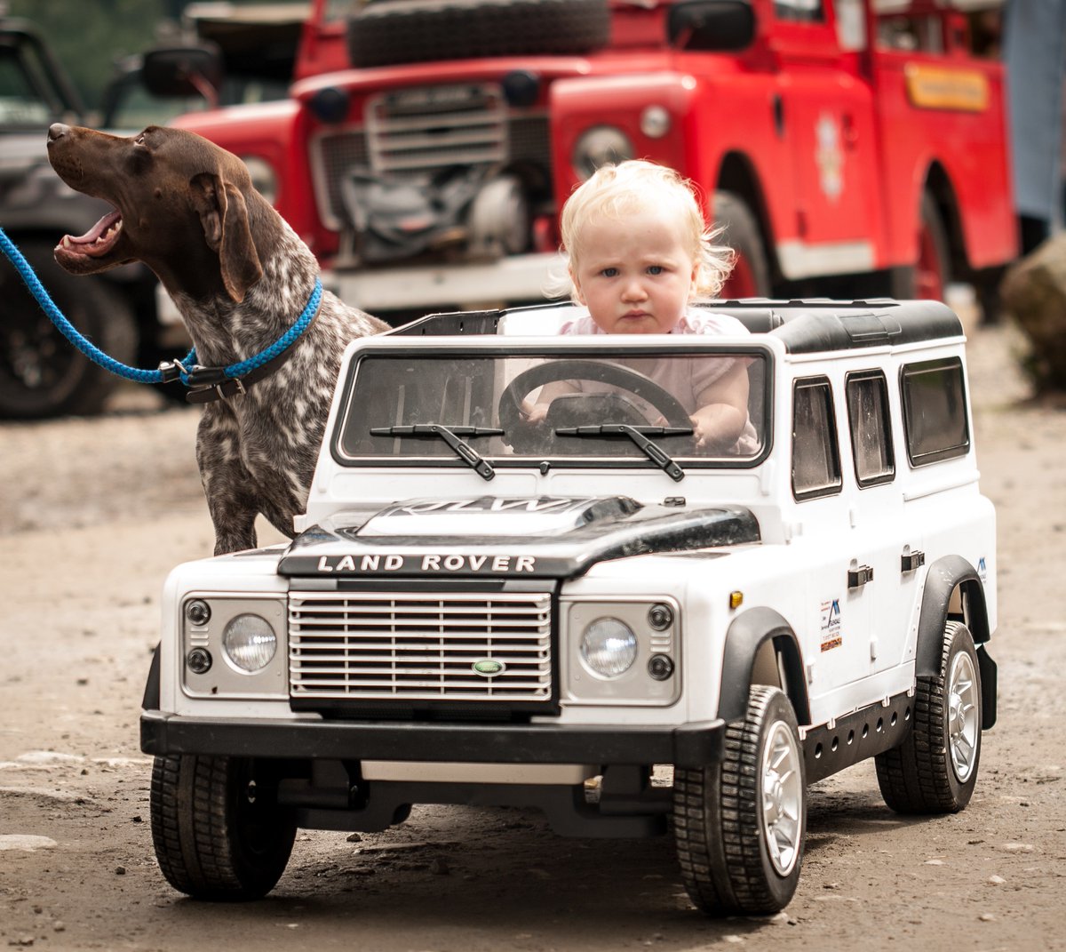 KelburnEstate's tweet photo. Not long until #DefenderJam!
Land Rover specialists, show cars, market stalls, art, models, parts, DJs, live music, clothing, merchandise, autojumble, a barber, coffee, food and drinks, camping, face painting, sand art, and MORE!
➡️➡️➡️https://t.co/tjKJsEZkxn https://t.co/t9eo4XCwOq