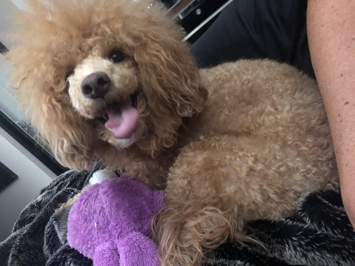 Dad said playtimes not over till I’m tired 😛