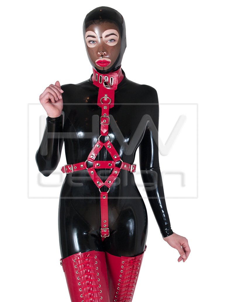 HW Design tweet media