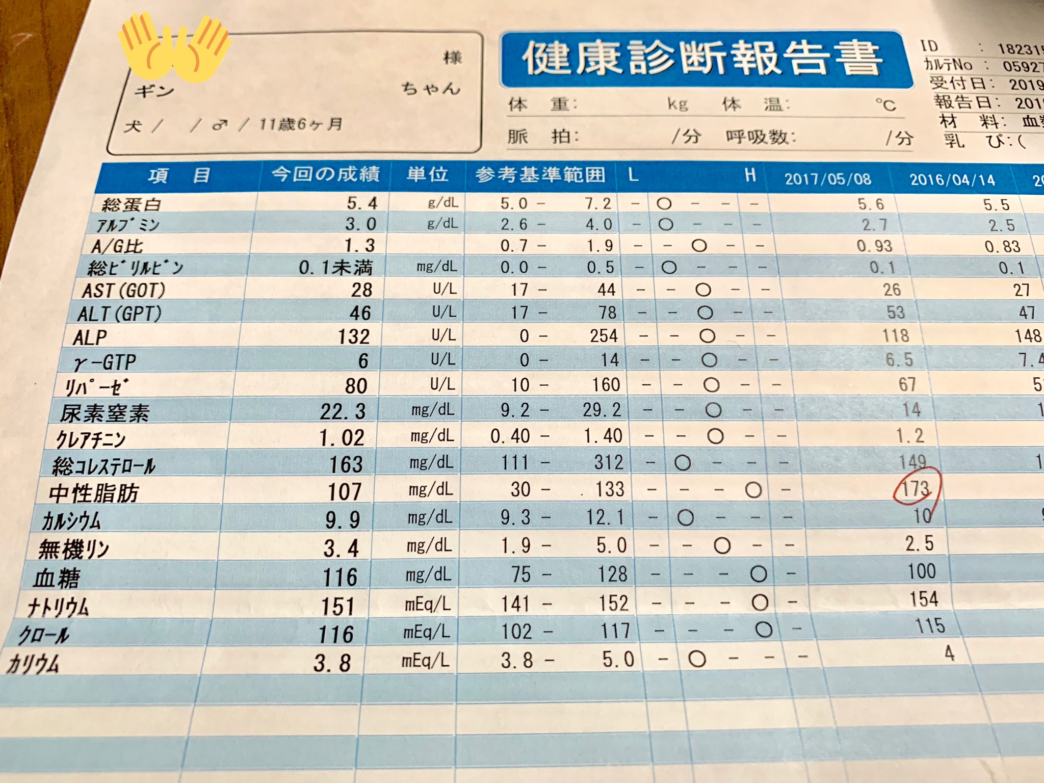 じゅん 狩猟免許 罠師と銃 取りたい 頑張る 銀さん ２年ぶりの血液検査だけど 中性脂肪の値が正常値 に戻ってた やったー 健康体で長生きさせるには定期的な血液検査が一番やね W 自分の血液検査も行っとかないとなーw 婦人科の健康診断