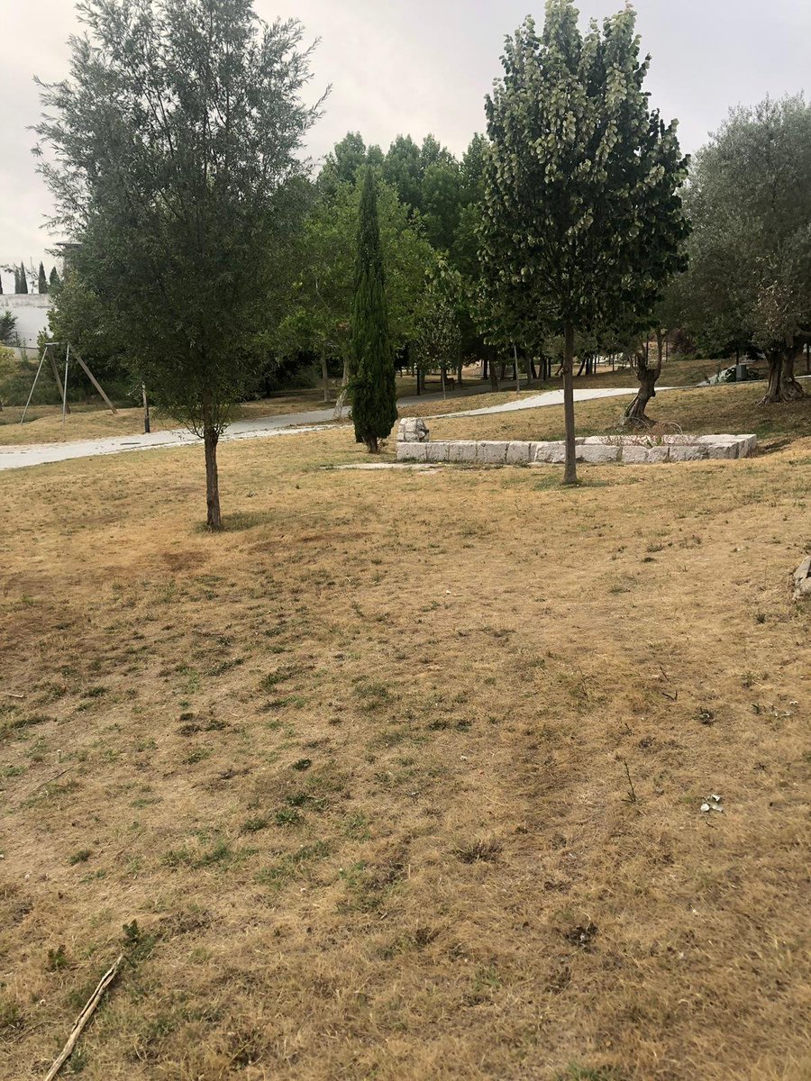 SimancasTlp's tweet photo. Este es el estado de abandono en que se encuentra el parque de La Vaguada en #Simancas 😥 Cuestionamos la justificación dada desde @AytoSimancas: que se debe a una restricción de agua. Desde #SimancasTLP trataremos de buscar solución para evitar consecuencias peores https://t.co/lLwK5449UV