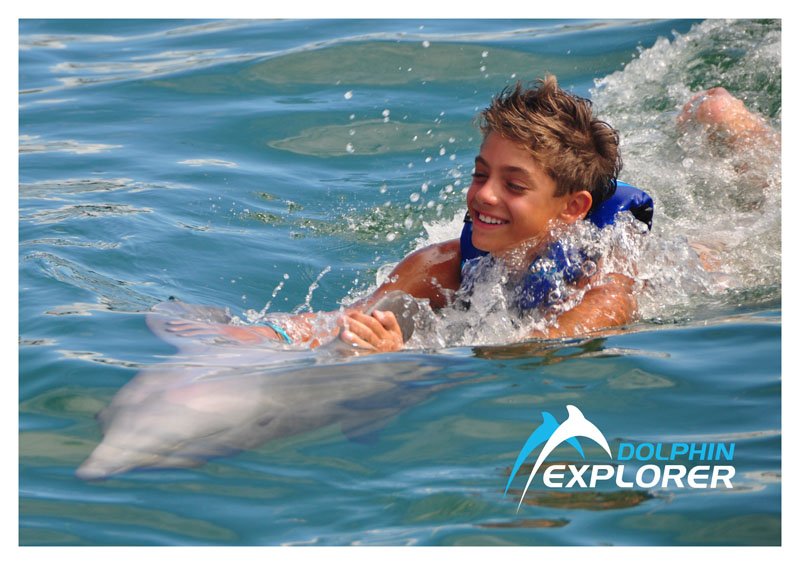 dexplorerpark's tweet photo. Great moments #dolphinexplorer #puntacana #dominicanrepublic https://t.co/kyLhnvHNT0