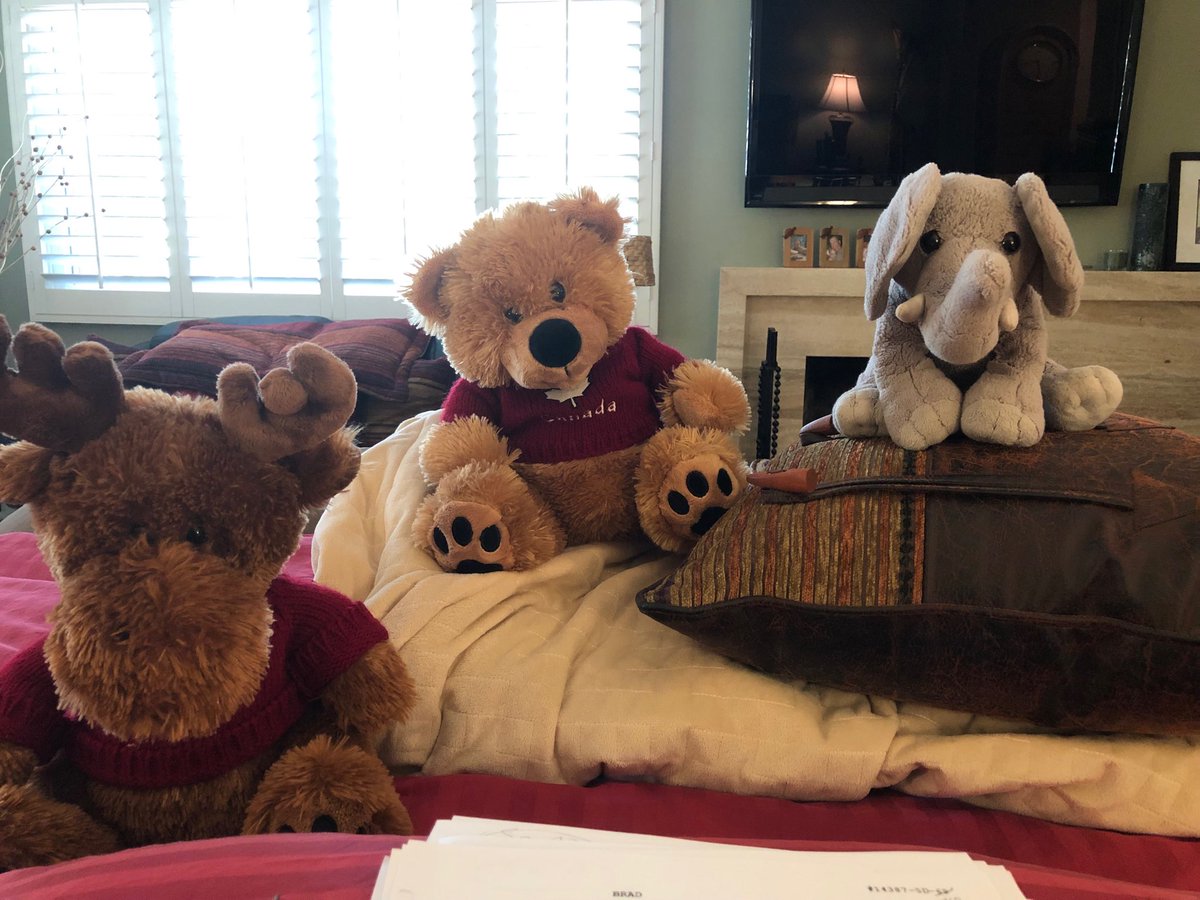 gatitweets's tweet photo. When studying #GH scripts, these are some of the “stand-ins” I use to represent the #GH actors I’ll be working with ⁦@GeneralHospital⁩ #secrets #actingbuddies #WishStuffedAnimalsCouldTalk #actingprocess #homework #WhyAreTheyStaringAtMe? https://t.co/Kag0piMBW2