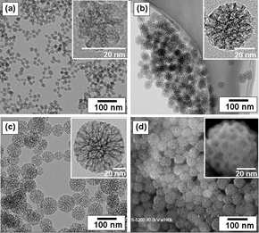 Biotechnology2k's tweet photo. The study describes the effect of iron nanoparticle toxicity towards the micro-organism and the combined effect towards the contamination. More like this @ https://t.co/oA2K3I2SJd
#Biotechnologyconference #Biotechnology #Paris #Biotechnologyfacts
@StatNano 
@nanoparticlehel https://t.co/BWXC8yD4QT