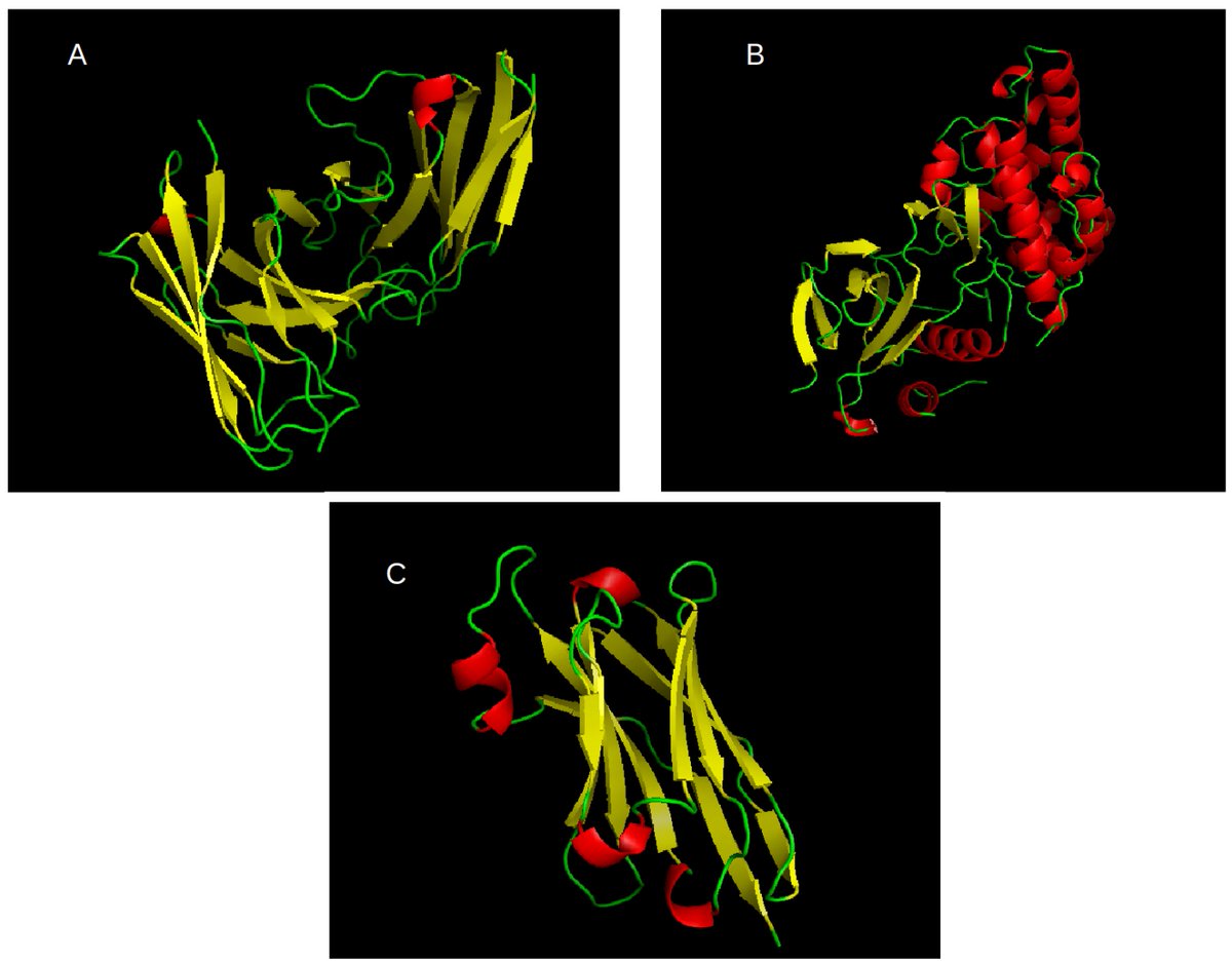 Entropy_MDPI's tweet photo. #mdpientropy Entropy, Fluctuations, and Disordered Proteins https://t.co/aBD08RR7Nh
#proteindisorder
#proteinstructure
#entropy
#fluctuations
#mutations https://t.co/miG5GAjiN3