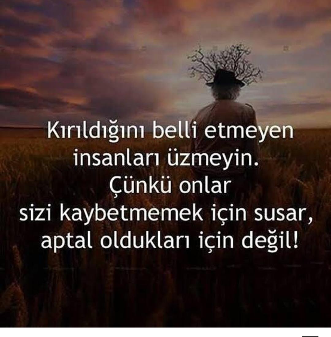 tunç (@toygarsaylr) on Twitter photo 