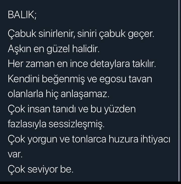 tunç (@toygarsaylr) on Twitter photo 