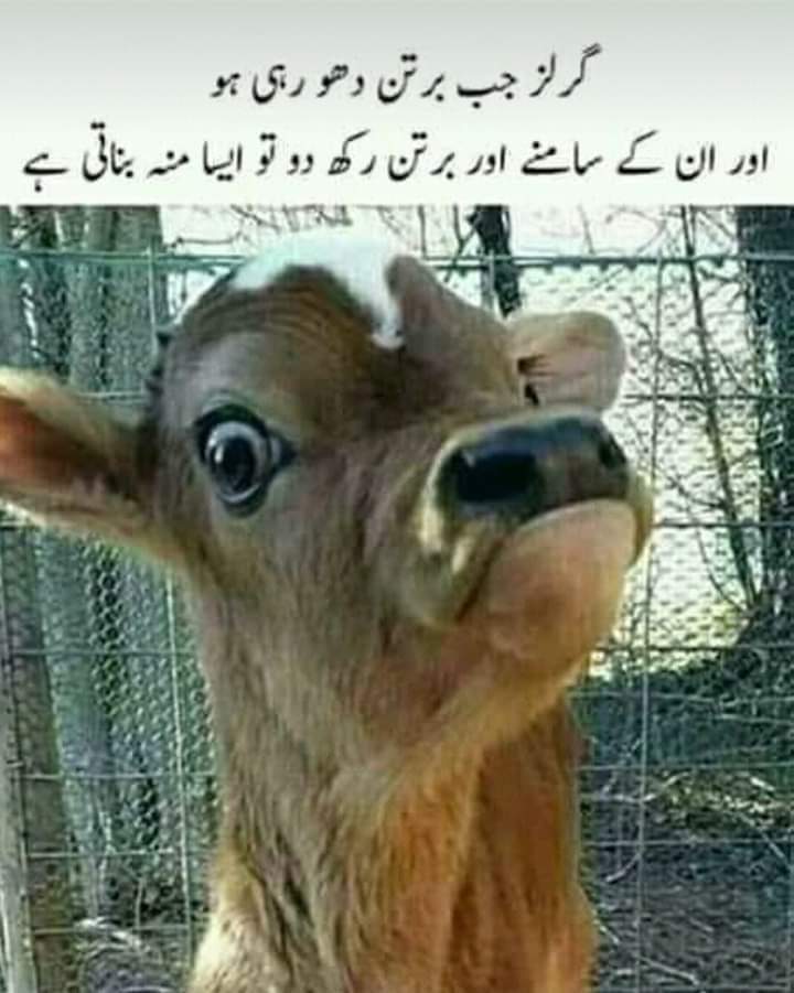 ✨PRΣMIUM🦅IΠT'L✨

1️⃣❣️Follow &amp; Retweet❣️
Get Follow Back &amp; Promotion 💯🌷
💓💓
💓<a href="/Noor____s/">🎀ℕ𝕠𝕠𝕣 𝕊𝕙𝕖𝕙𝕫𝕒𝕕𝕚 🎀🇵🇰</a>
💓<a href="/lotus_rose08/">ALI ENGINEER 🇵🇰🇩🇪</a>
<a href="/SameaMalik/">Sameamalik</a>
@Noorkpti
💓<a href="/saad_pak1/">♻️SAAD♻️🇵🇰</a>
💓<a href="/saad_pak2/">🦅🌷S_A_A_D🌷🦅</a>
<a href="/Haniya_1234/">👑</a>
@Sheza_Shahzadi
💓<a href="/Moin_Akhtar10/">BluE BloOd</a>
💓<a href="/10Ghullam/">10ghulam</a>
<a href="/NoorS__3/">𝓝𝓸𝓸𝓻 𝓢𝓱𝓮𝓱𝔃𝓪𝓭𝓲</a>
@waqar__rana
💓<a href="/A__Hania/">✾❊ 𝐇𝐚𝐧𝐢𝐚 ❊✾</a>
💓<a href="/nain9441/">Aaila</a>
<a href="/Pakiza_Shehzadi/">ρმκἶɀმ ჰhპhɀმძἶ 🇵🇰💃 #Insaf_Pk</a>