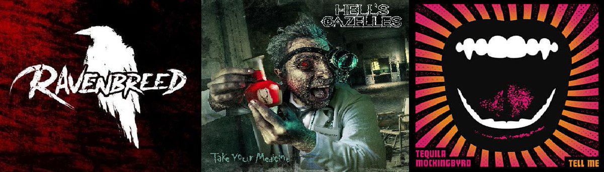 IgniteRocksShow tweet media