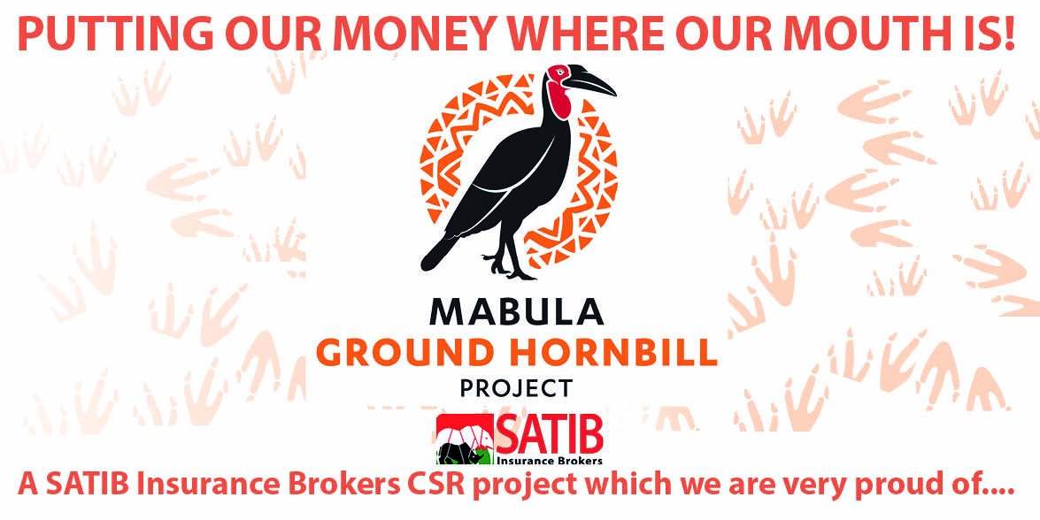Mabula Ground Hornbill Project

The Mabula Ground Hornbill Project is one of SATIB’s CSR Projects of which we are immensely proud. Here is a summary….a day in the life of……

#CSR #Groundhornbill #SATIB #Initiative

Read more by clicking this link
satib.co.za/mabula-ground-…