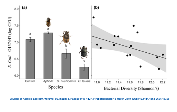 Un article publicat al "Journal of Applied Ecology" conclou que l'agricultura ecològica, a través de l'augment de biodiversitat, ajuda a reduir el risc de brots de malalties de transmissió alimentària.
bioecoactual.com/ca/2019/08/06/… via <a href="/BioEcoActual/">Bio Eco Actual</a>