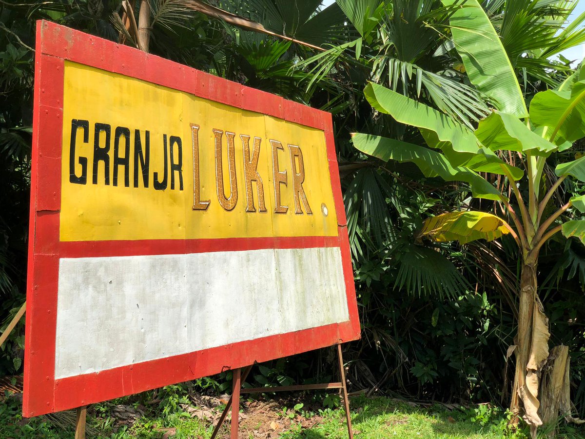 We are proud to work with Luker Chocolate  who first opened its doors of the Granja Luker in 1962 and is only 1 of 2 chocolate research facilities in the world.

#cacao #chocolate #granjaluker #cocoa #research