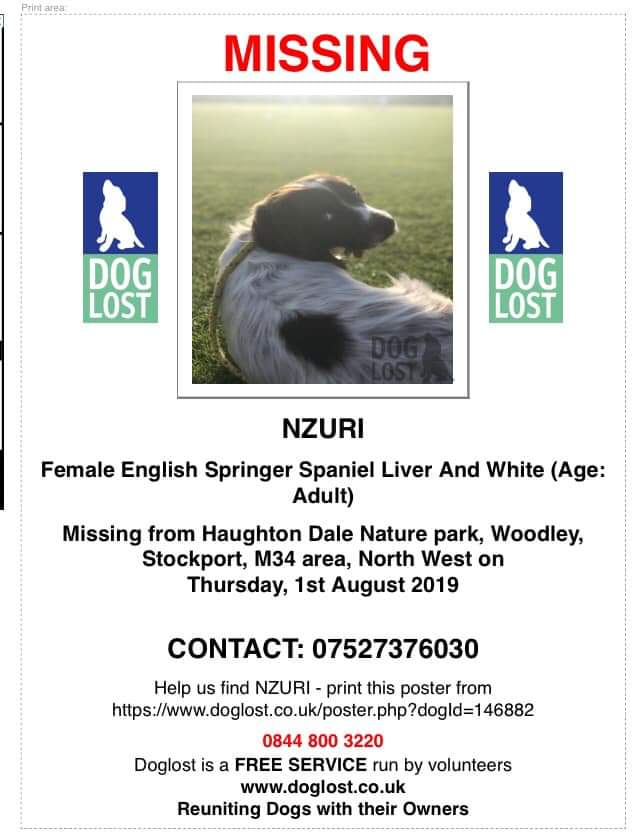 MissingPetsGB's tweet image. 🐕 NZURI is a 3.5 year old springer spanie who disappeared on a walk on 1 Aug in Haughton Dale Nature Park, Woodley, greater #Manchester. She is chipped so any vet can easily identify her #M34 
She has a very distinctive liver spot marking on her back.
doglost.co.uk/dog-blog.php?d…í