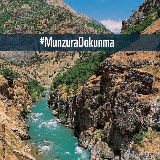 Resmi Twitter'da görüntüle