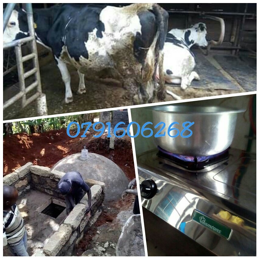 EkoinBiogas's tweet photo. Install a #biogasdigester today and help in the fight against #ClimateChange https://t.co/aZlUo0LqzX
