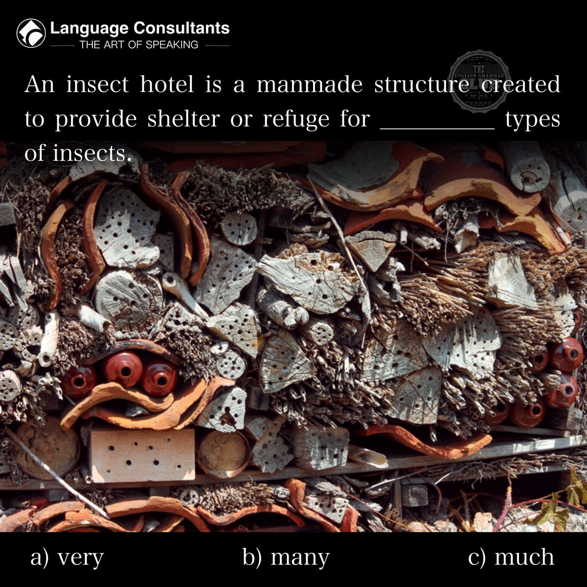 #Language #Consultants play a central role in #BringingTheWorldToYourDoorstep so you can #exchange #ideas, #learn, #think, and #create more easily in #English. #TheArtOfSpeaking #insecthotel