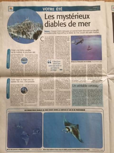 Bel article dans le midi libre suite à notre expédition mobula de juin dernier!
Avec les associations skravik et ailerons.