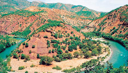 Resmi Twitter'da görüntüle