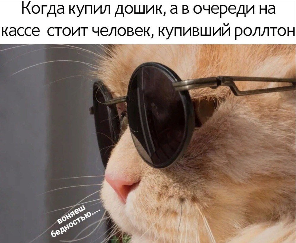 EBWXYqmWkAEddmp?format=jpg&name=medium