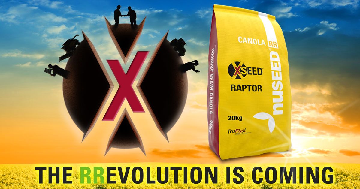 NufarmSeedsAU's tweet photo. In 2019, Xseed Raptor will also be demonstrated in Nuseed’s grower-based Crop Agronomy Trials (CAT) across Australia and will be commercially available for sale and planting in 2020. #xseedraptor #truflex #CATprogram
https://t.co/uonfhHwVZg https://t.co/9e05rJA2og