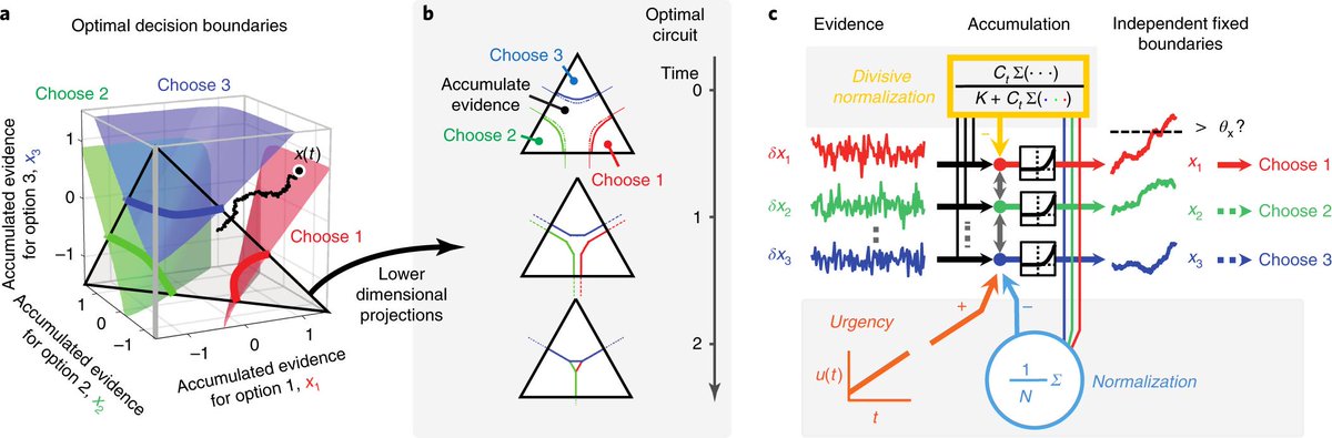 introspection's tweet image. Optimal policy for multi-alternative decisions — &quot;our model can account for several so-called ‘irrational’ behaviors&quot; nature.com/articles/s4159… #DecisionMaking #Neurodynamics