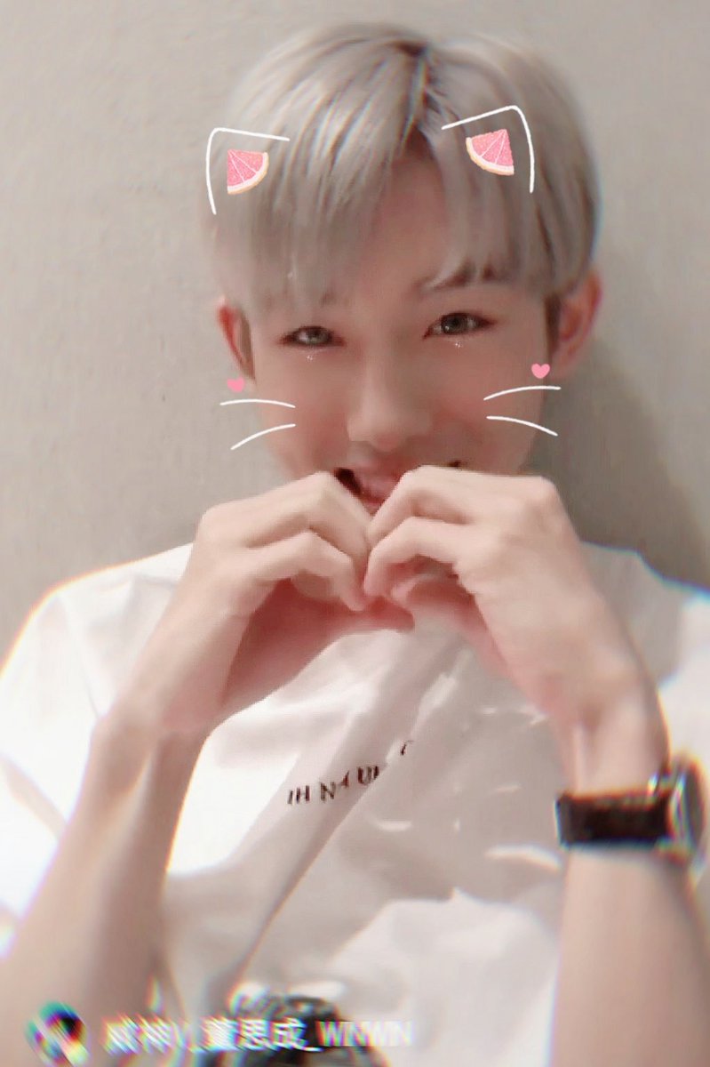 281323_'s tweet photo. กลับจากเมกามาเก็บแมวก่อน #yuwin https://t.co/LZveWMFNJ1