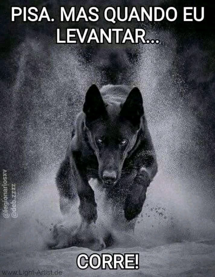 Riquelm23's tweet photo. -, Para Quem Tava 👇 ... Me Levantei De Novo Agora 👇 https://t.co/QZmQUyg0Ml