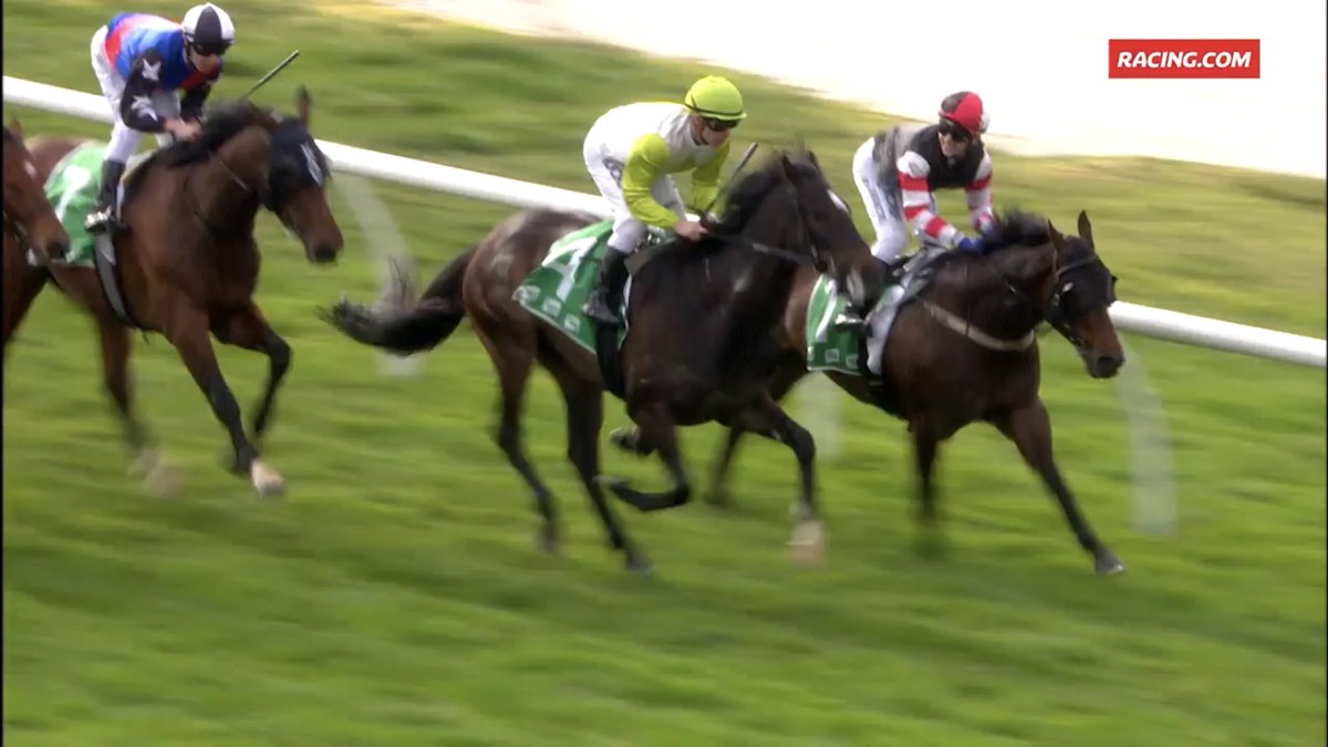 hvasstan's tweet photo. Like Father Like Son @CoolmoreAus 🎯🎯
Another quality NZ bred horse salutes in So He Rules ridden 👌🍑 by @BMelham at @CranTurfClub - congratulations to @lenny_bluegrass @JamesBester4 @mmsnippets @AmpullaLodge @gelagotisracing #team #classprevails https://t.co/KomN11AJOq
