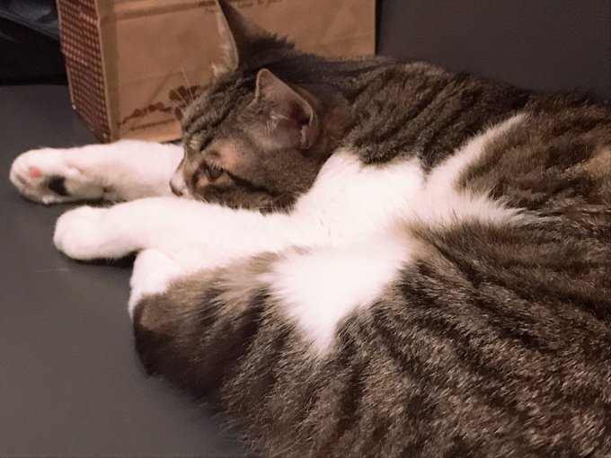 バチバチに 高画質 のtwitterイラスト検索結果 古い順