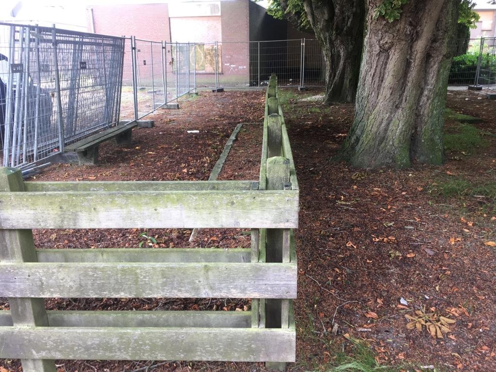 Om de wortels van deze monumentale kastanjes meer ruimte te geven hebben we de bestrating verwijderd en mulch (gecomposteerd uitgerijpt houtproduct,  rijk aan voedingstoffen en organismen) toegevoegd. 

Een simpele en goedkope oplossing met veel winst voor de bomen!