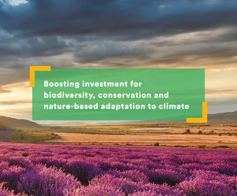 EIB's tweet photo. Are you looking to invest in #nature? 🌲🌳
Our guide developed with @EU_ENV provides information on financing for conservation and nature solutions and how to access the Natural Capital Financing Facility https://t.co/rGfenEeg9r #NCFF https://t.co/Ys94lAfhsC