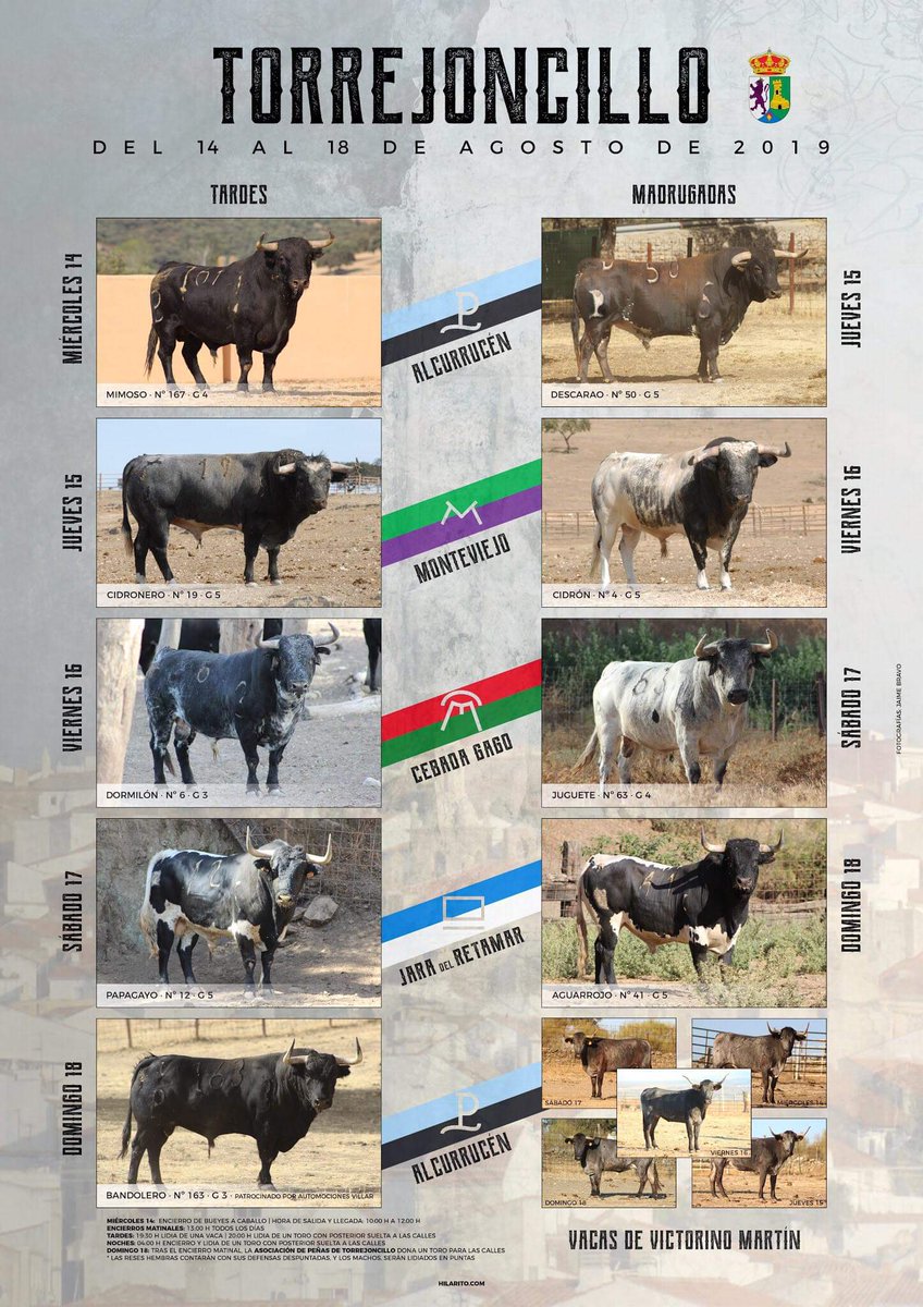 kantalgayo's tweet photo. 🐂 | #FiestasdeAgosto2019 de
#Torrejoncillo @AytoTorre.

Del 14 al 18 de agosto se lidiarán 9 toros de las ganaderías de #Alcurrucén, #Monteviejo, #JaradelRetamar y @HrosCebadaGago, y 5 vacas de @VictorinoToros.

Festejo Taurino Popular Tradicional de Extremadura

🔴 HILO
⏬⏬⏬ https://t.co/2dgdRr9BSW