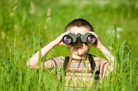 IvanhoeSolis's tweet photo. "Las grandes #ideas vienen de la #observación del pequeño #detalle". https://t.co/U8906rTEBg