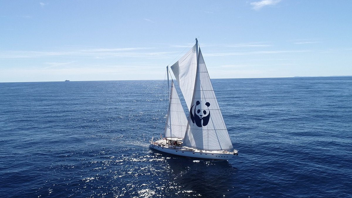 marseille's tweet photo. Le Blue panda @WWFFrance, voilier dédié à la protection de la Méditerranée, fera escale à #Marseille, du 20 au 23 août. 
De nombreuses animations seront prévues sur la plage du Prophète et le Vieux-Port afin de sensibiliser à la préservation de la mer méditerranée. ⛵️🐼 https://t.co/28S8lN1qib