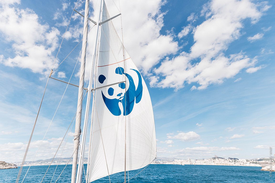 marseille's tweet photo. Le Blue panda @WWFFrance, voilier dédié à la protection de la Méditerranée, fera escale à #Marseille, du 20 au 23 août. 
De nombreuses animations seront prévues sur la plage du Prophète et le Vieux-Port afin de sensibiliser à la préservation de la mer méditerranée. ⛵️🐼 https://t.co/28S8lN1qib