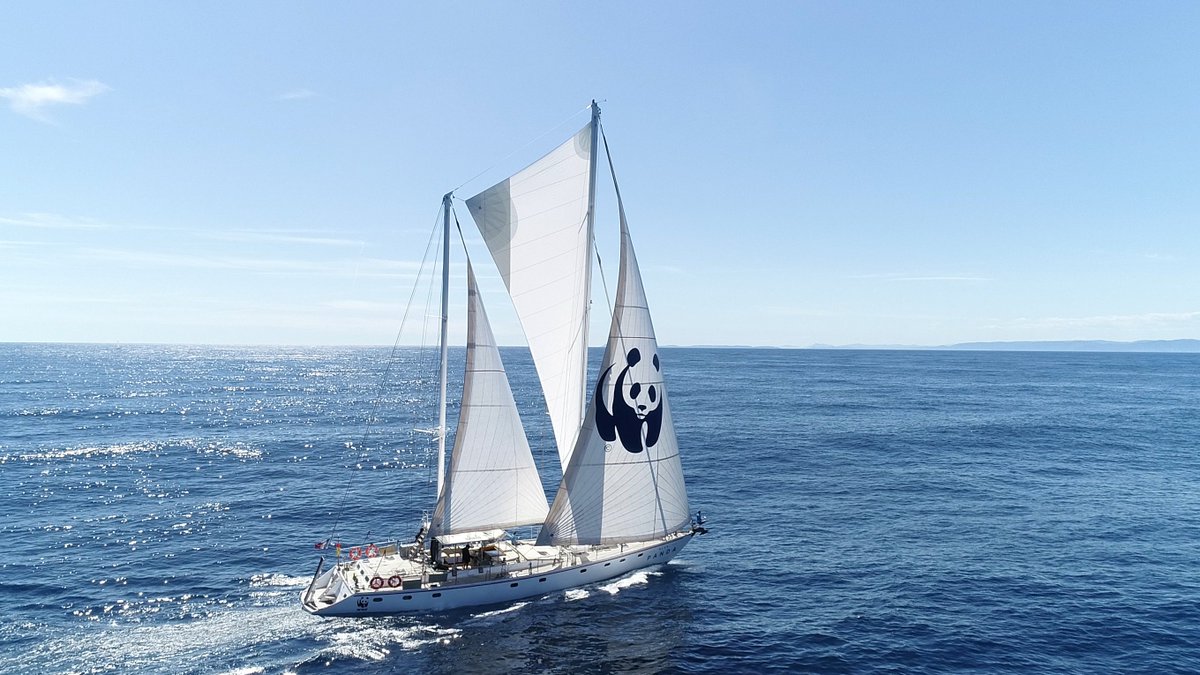 Le Blue panda <a href="/WWFFrance/">WWF France 🐼</a>, voilier dédié à la protection de la Méditerranée, fera escale à #Marseille, du 20 au 23 août. 
De nombreuses animations seront prévues sur la plage du Prophète et le Vieux-Port afin de sensibiliser à la préservation de la mer méditerranée. ⛵️🐼